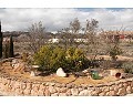 Prachtige villa met 3 slaapkamers en 2 badkamers, Pinoso. in Alicante Dream Homes Castalla 