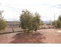 Prachtige villa met 3 slaapkamers en 2 badkamers, Pinoso. in Alicante Dream Homes Castalla 