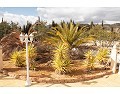 Prachtige villa met 3 slaapkamers en 2 badkamers, Pinoso. in Alicante Dream Homes Castalla 