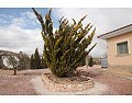 Prachtige villa met 3 slaapkamers en 2 badkamers, Pinoso. in Alicante Dream Homes Castalla 