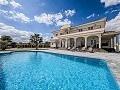 Ready now, Wow factor villa with pool, guest house and Bar! in Alicante Dream Homes Castalla 