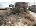 2 Bed 1 Bath Country house for sale in Lel, Pinoso. in Alicante Dream Homes Castalla 