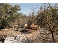 2 Bed 1 Bath Country house for sale in Lel, Pinoso. in Alicante Dream Homes Castalla 