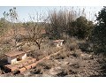 2 Bed 1 Bath Country house for sale in Lel, Pinoso. in Alicante Dream Homes Castalla 