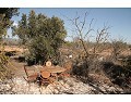 2 Bed 1 Bath Country house for sale in Lel, Pinoso. in Alicante Dream Homes Castalla 