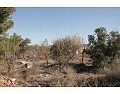 2 Bed 1 Bath Country house for sale in Lel, Pinoso. in Alicante Dream Homes Castalla 