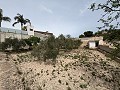 Großes Landhaus in Salinetas, Petrer in Alicante Dream Homes Castalla 