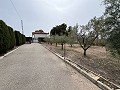 Großes Landhaus in Salinetas, Petrer in Alicante Dream Homes Castalla 