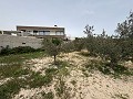 Großes Landhaus in Salinetas, Petrer in Alicante Dream Homes Castalla 