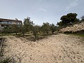 Großes Landhaus in Salinetas, Petrer in Alicante Dream Homes Castalla 