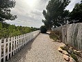 Privater Campingplatz mit einem 4-Bett-Haus in Alicante Dream Homes Castalla 