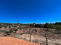 Prachtige villa met 4 slaapkamers en 2 badkamers in Alicante Dream Homes Castalla 