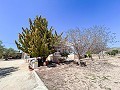 Prachtige villa met 4 slaapkamers en 2 badkamers in Alicante Dream Homes Castalla 