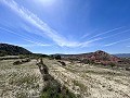 Beautiful Exclusive Semi-Detached Villa in Loma Badá , Petrer in Alicante Dream Homes Castalla 