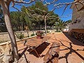 Beautiful Exclusive Semi-Detached Villa in Loma Badá , Petrer in Alicante Dream Homes Castalla 
