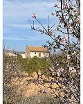Prachtig landhuis met 5 slaapkamers en 4/5 badkamers in Raspay. in Alicante Dream Homes Castalla 