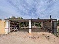Cozy Country House with Pool in Sax in Alicante Dream Homes Castalla 