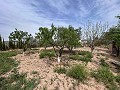 Cozy Country House with Pool in Sax in Alicante Dream Homes Castalla 