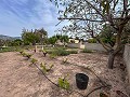 Cozy Country House with Pool in Sax in Alicante Dream Homes Castalla 