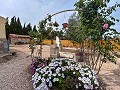 Cozy Country House with Pool in Sax in Alicante Dream Homes Castalla 