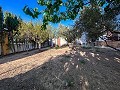 Wunderschönes Landhaus mit 4 Schlafzimmern in Monforte del Cid in Alicante Dream Homes Castalla 