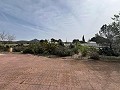 Landhaus in Sax in Alicante Dream Homes Castalla 