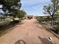 Landhaus in Sax in Alicante Dream Homes Castalla 