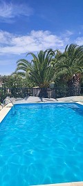 Finca mit 2 Schlafzimmern und 1 Bad zum Verkauf in La Romana. in Alicante Dream Homes Castalla 