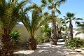 Schöne Villa mit 3 Schlafzimmern und 3 Bädern in Hondon de las Nieves. in Alicante Dream Homes Castalla 