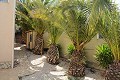 Schöne Villa mit 3 Schlafzimmern und 3 Bädern in Hondon de las Nieves. in Alicante Dream Homes Castalla 