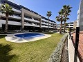Penthouse met 2 slaapkamers in Playa Flamenca in Alicante Dream Homes Castalla 