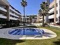 Penthouse met 2 slaapkamers in Playa Flamenca in Alicante Dream Homes Castalla 