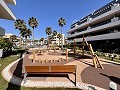 Penthouse met 2 slaapkamers in Playa Flamenca in Alicante Dream Homes Castalla 