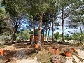 Prachtige villa met 5 slaapkamers en 1 badkamer nabij de stad Sax in Alicante Dream Homes Castalla 