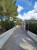 Prachtige villa met 5 slaapkamers en 1 badkamer nabij de stad Sax in Alicante Dream Homes Castalla 