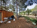Prachtige villa met 5 slaapkamers en 1 badkamer nabij de stad Sax in Alicante Dream Homes Castalla 