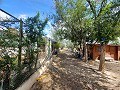 Prachtige villa met 5 slaapkamers en 1 badkamer nabij de stad Sax in Alicante Dream Homes Castalla 