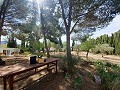Prachtige villa met 5 slaapkamers en 1 badkamer nabij de stad Sax in Alicante Dream Homes Castalla 