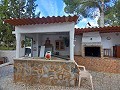 Prachtige villa met 5 slaapkamers en 1 badkamer nabij de stad Sax in Alicante Dream Homes Castalla 