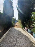 Prachtige villa met 5 slaapkamers en 1 badkamer nabij de stad Sax in Alicante Dream Homes Castalla 