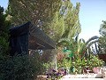 Prachtige villa met 5 slaapkamers en 1 badkamer nabij de stad Sax in Alicante Dream Homes Castalla 