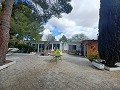 Prachtige villa met 5 slaapkamers en 1 badkamer nabij de stad Sax in Alicante Dream Homes Castalla 