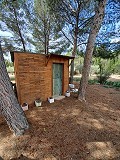 Prachtige villa met 5 slaapkamers en 1 badkamer nabij de stad Sax in Alicante Dream Homes Castalla 