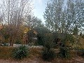 Prachtige villa met 5 slaapkamers en 1 badkamer nabij de stad Sax in Alicante Dream Homes Castalla 