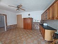 Prachtige villa met 5 slaapkamers en 1 badkamer nabij de stad Sax in Alicante Dream Homes Castalla 