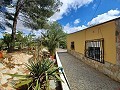 Prachtige villa met 5 slaapkamers en 1 badkamer nabij de stad Sax in Alicante Dream Homes Castalla 
