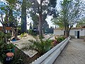 Prachtige villa met 5 slaapkamers en 1 badkamer nabij de stad Sax in Alicante Dream Homes Castalla 