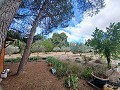 Prachtige villa met 5 slaapkamers en 1 badkamer nabij de stad Sax in Alicante Dream Homes Castalla 