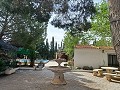 Prachtige villa met 5 slaapkamers en 1 badkamer nabij de stad Sax in Alicante Dream Homes Castalla 