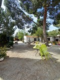 Prachtige villa met 5 slaapkamers en 1 badkamer nabij de stad Sax in Alicante Dream Homes Castalla 